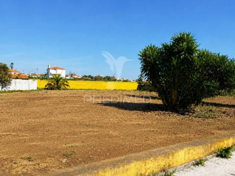 Moradia t5 restaurada a 3 km da praia de esmoriz