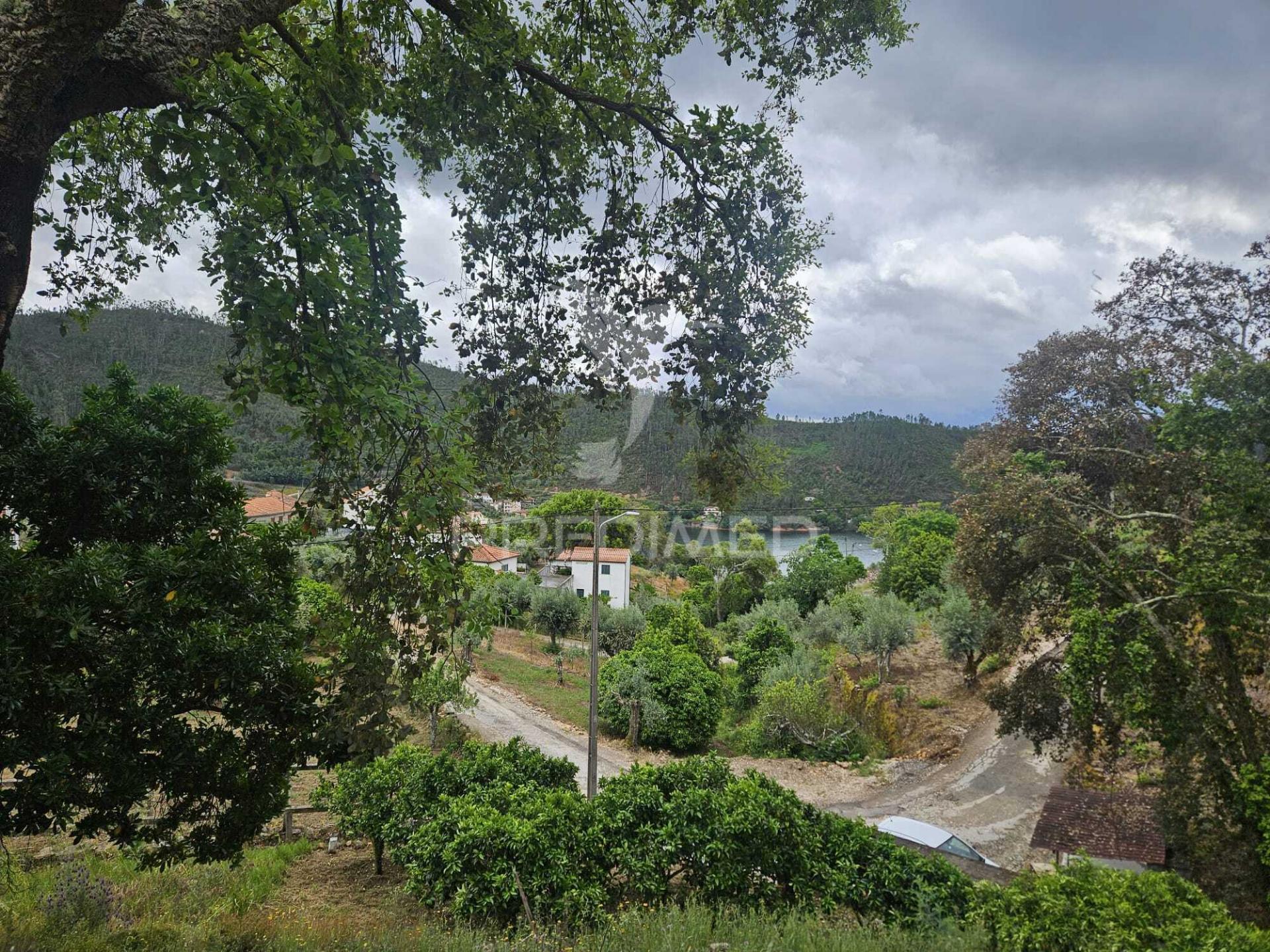 Terreno vista rio zêzere