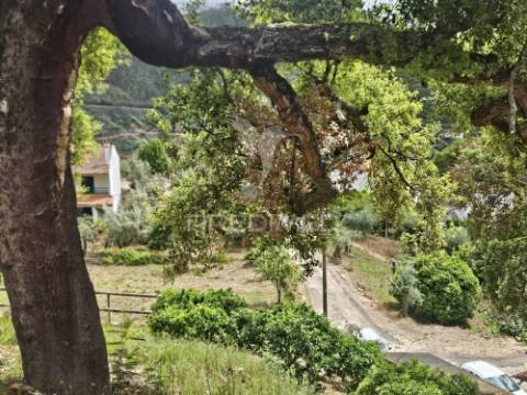 Terreno vista rio zêzere