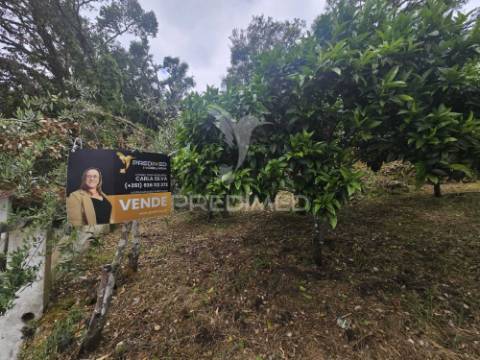 Terreno vista rio zêzere