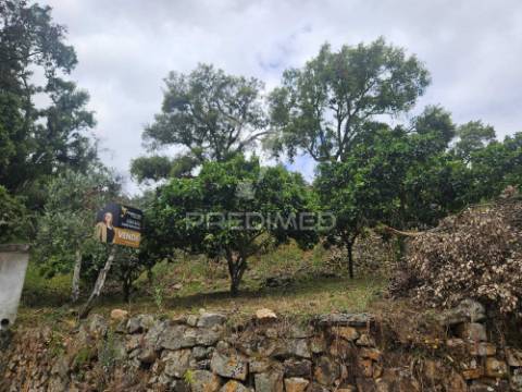 Terreno vista rio zêzere
