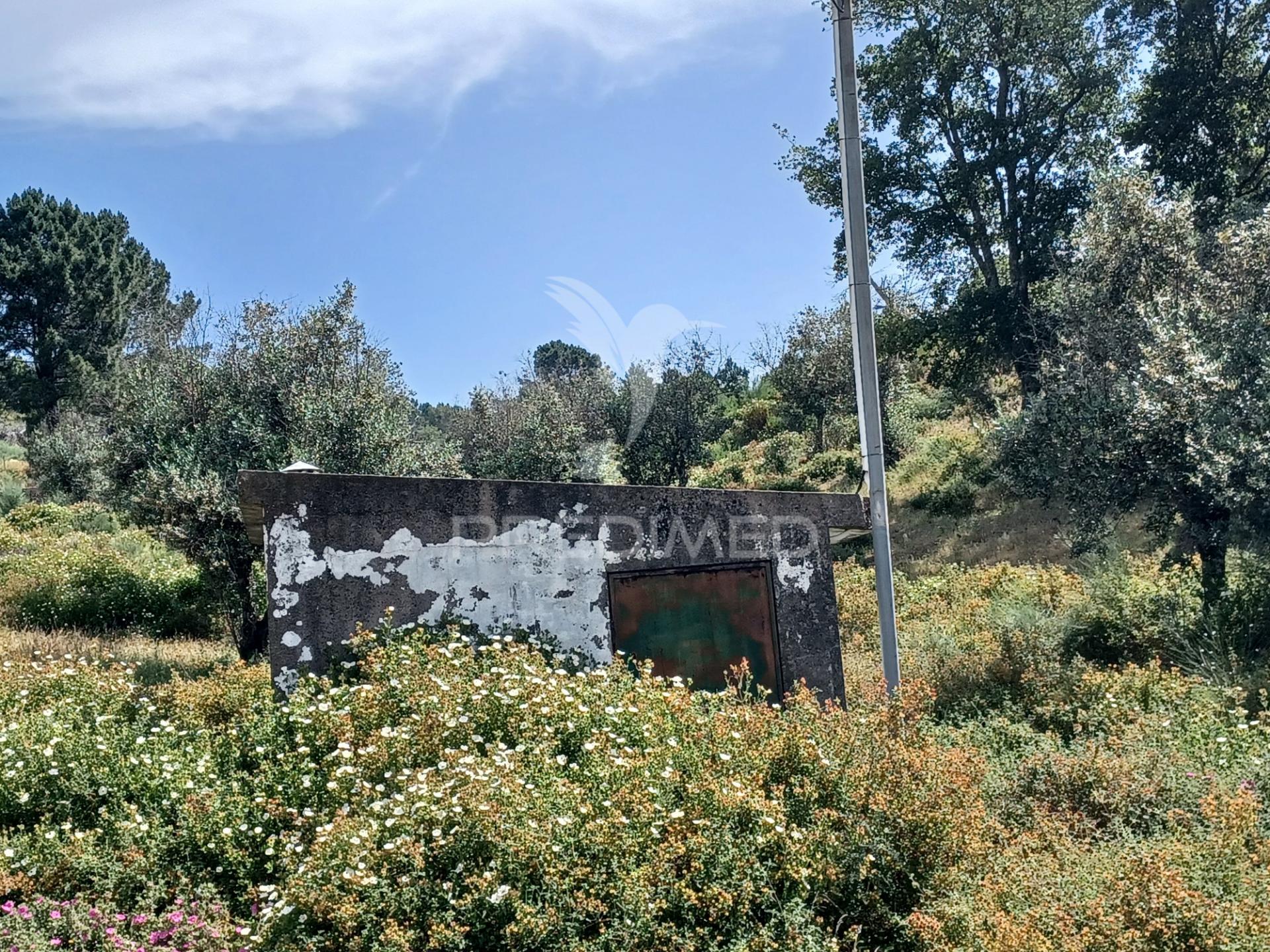 Terreno rústico 5,425 ha - portalegre