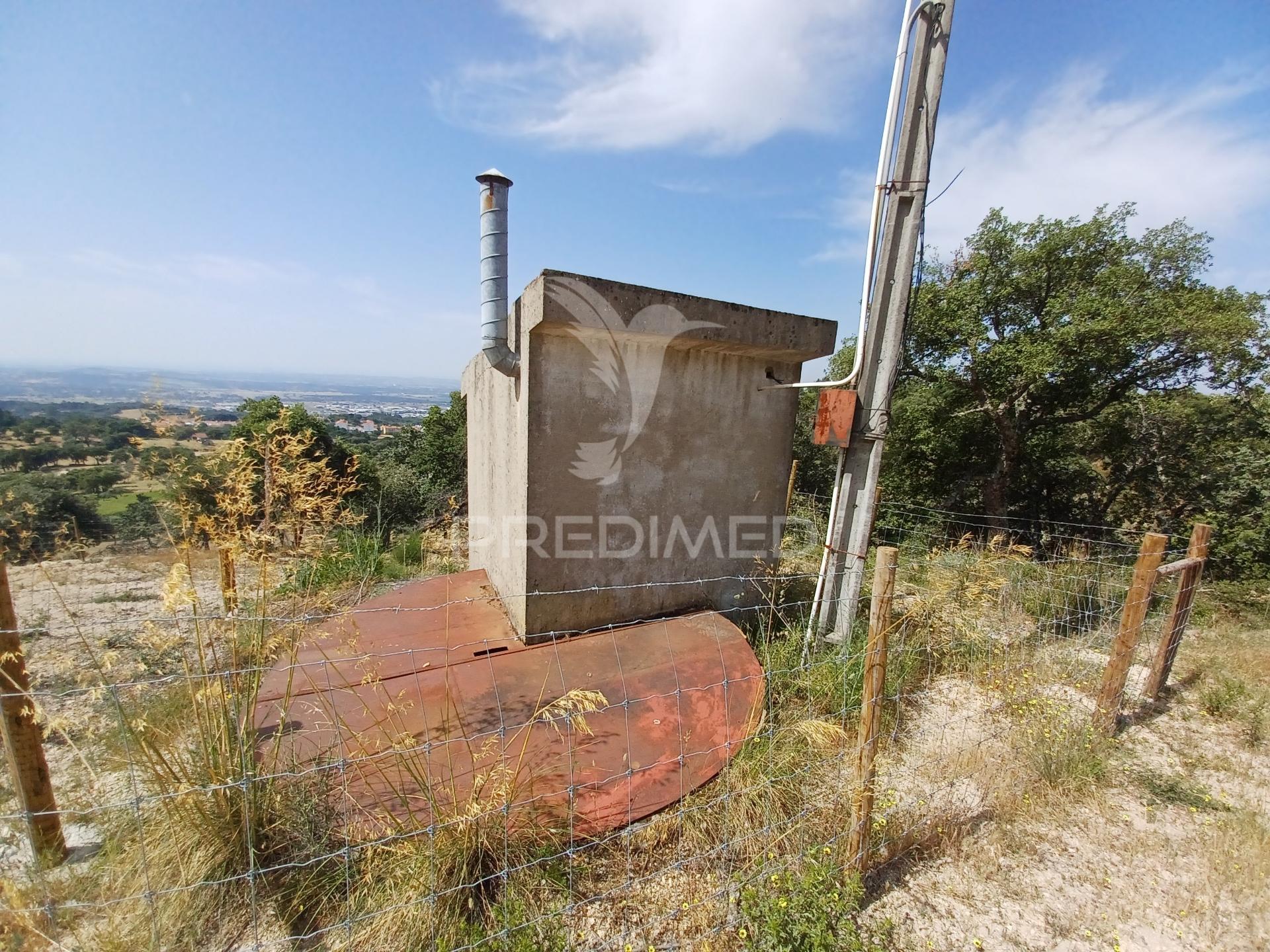 Terreno rústico 5,425 ha - portalegre