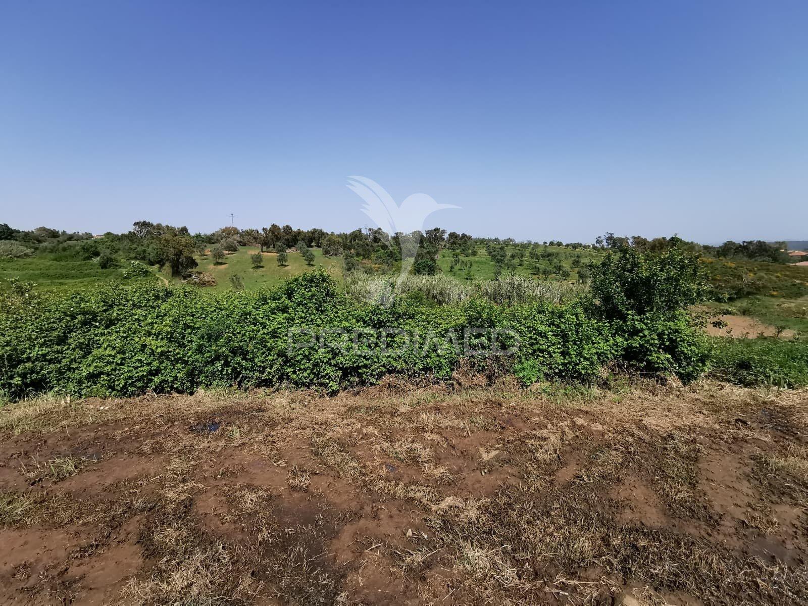 Terreno rustico e urbano com ruina para reconstrução