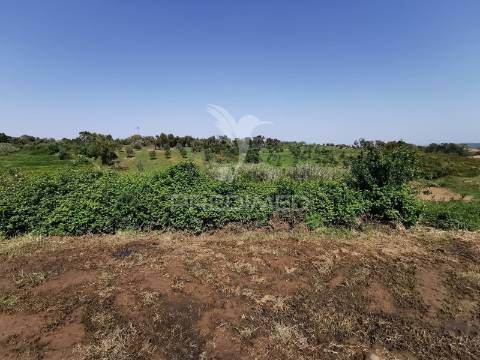 Terreno rustico e urbano com ruina para reconstrução