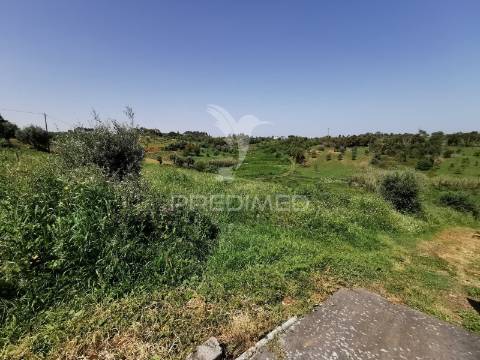 Terreno rustico e urbano com ruina para reconstrução