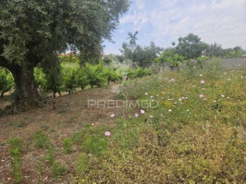Terreno na entrada de tomar com parcela urbana 1200m2