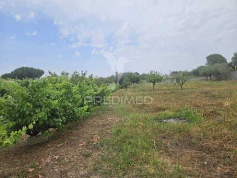 Terreno na entrada de tomar com parcela urbana 1200m2