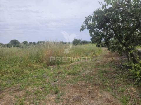 Terreno na entrada de tomar com parcela urbana 1200m2