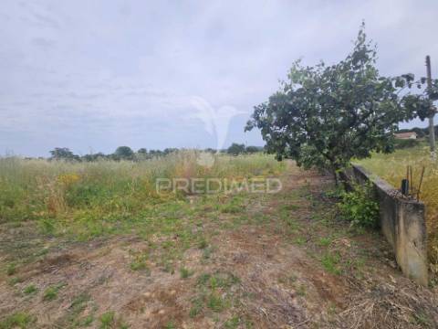 Terreno na entrada de tomar com parcela urbana 1200m2