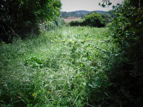 Casa de campo com terreno, para recuperar, a 9 kms de vila real