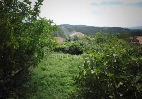Casa de campo com terreno, para recuperar, a 9 kms de vila real
