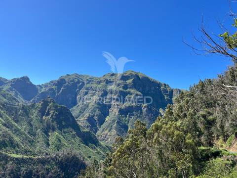 Terreno de sonho na serra de água – 3.000 m² com 2 palheiros de natureza pura na madeira