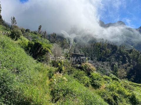 Terreno de sonho na serra de água – 3.000 m² com 2 palheiros de natureza pura na madeira