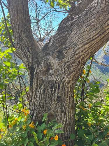 Terreno de sonho na serra de água – 3.000 m² com 2 palheiros de natureza pura na madeira