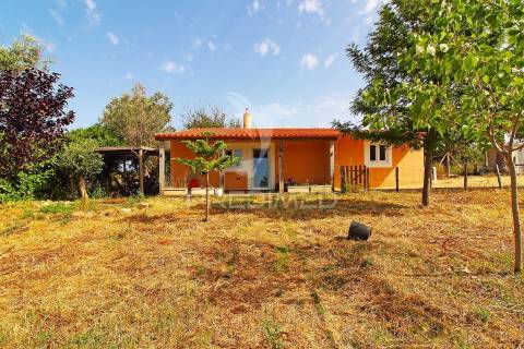 Quinta de charme em silves – espaço, conforto e qualidade de vida