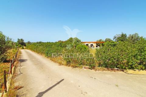 Quinta de charme em silves – espaço, conforto e qualidade de vida