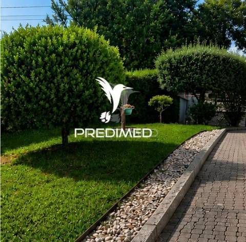 Moradia t3 + 2