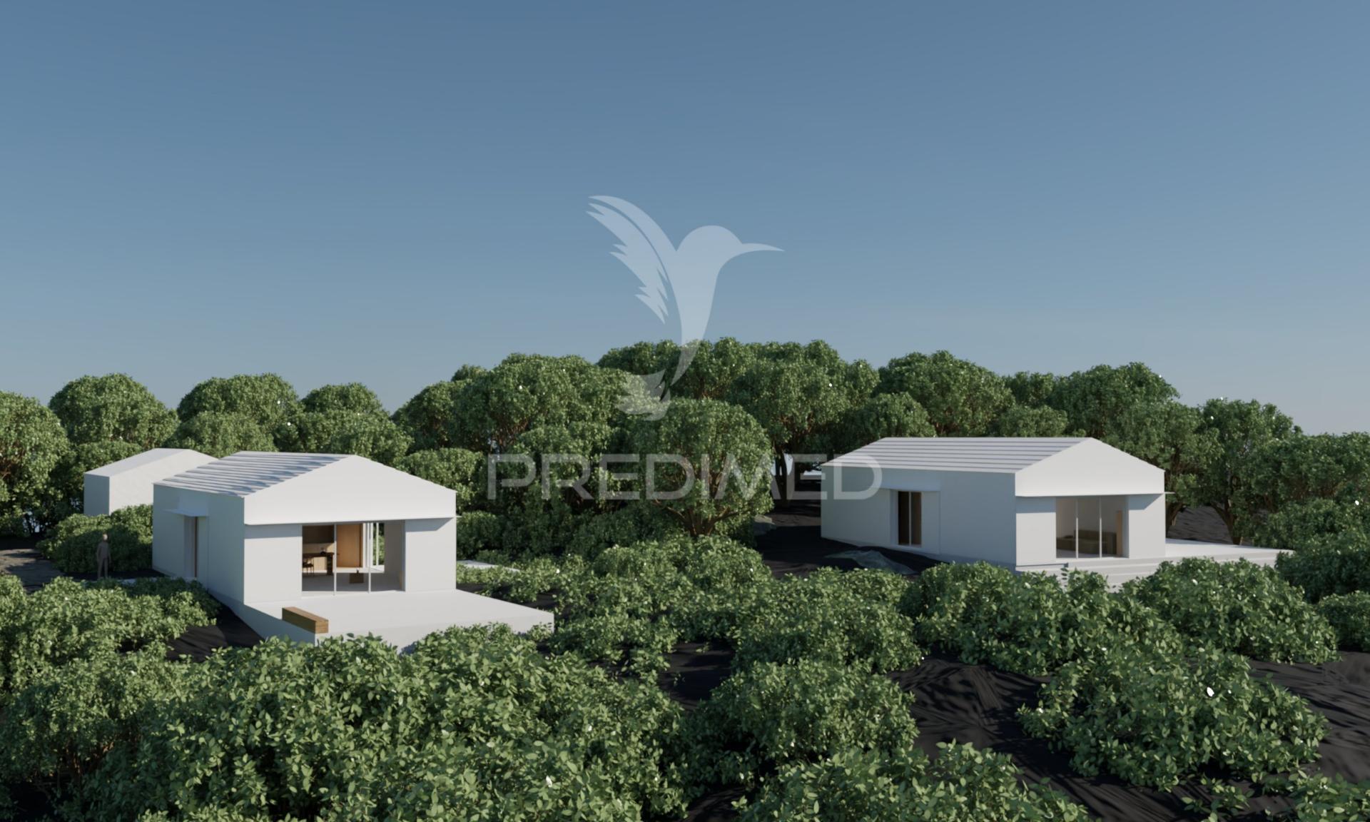 Terreno com projeto aprovado - 5.320 m² em santana, ilha do pico (zona unesco)