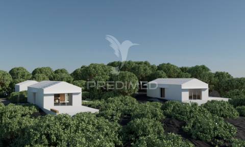 Terreno com projeto aprovado - 5.320 m² em santana, ilha do pico (zona unesco)