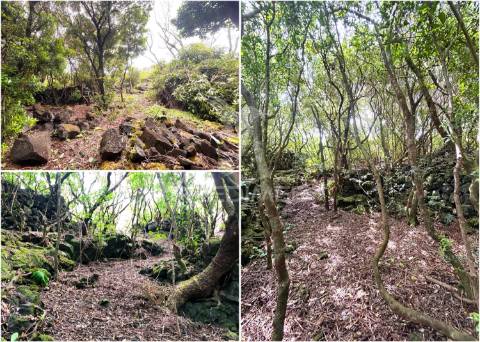 Terreno com projeto aprovado - 5.320 m² em santana, ilha do pico (zona unesco)