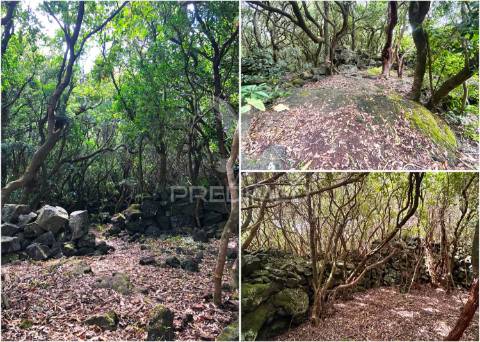 Terreno com projeto aprovado - 5.320 m² em santana, ilha do pico (zona unesco)