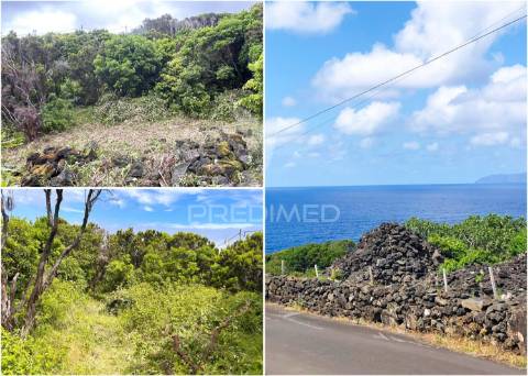 Terreno com projeto aprovado - 5.320 m² em santana, ilha do pico (zona unesco)