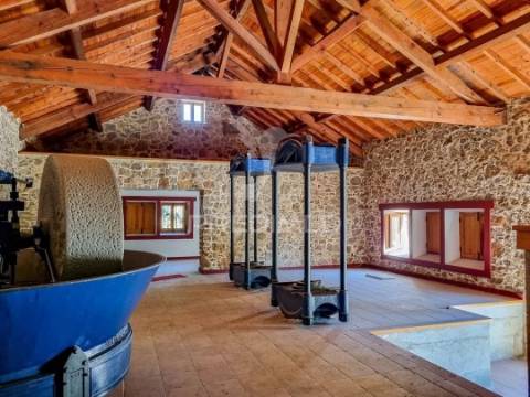 Restaurante & bar em antigo lagar | um imóvel único com história e potencial de reconversão