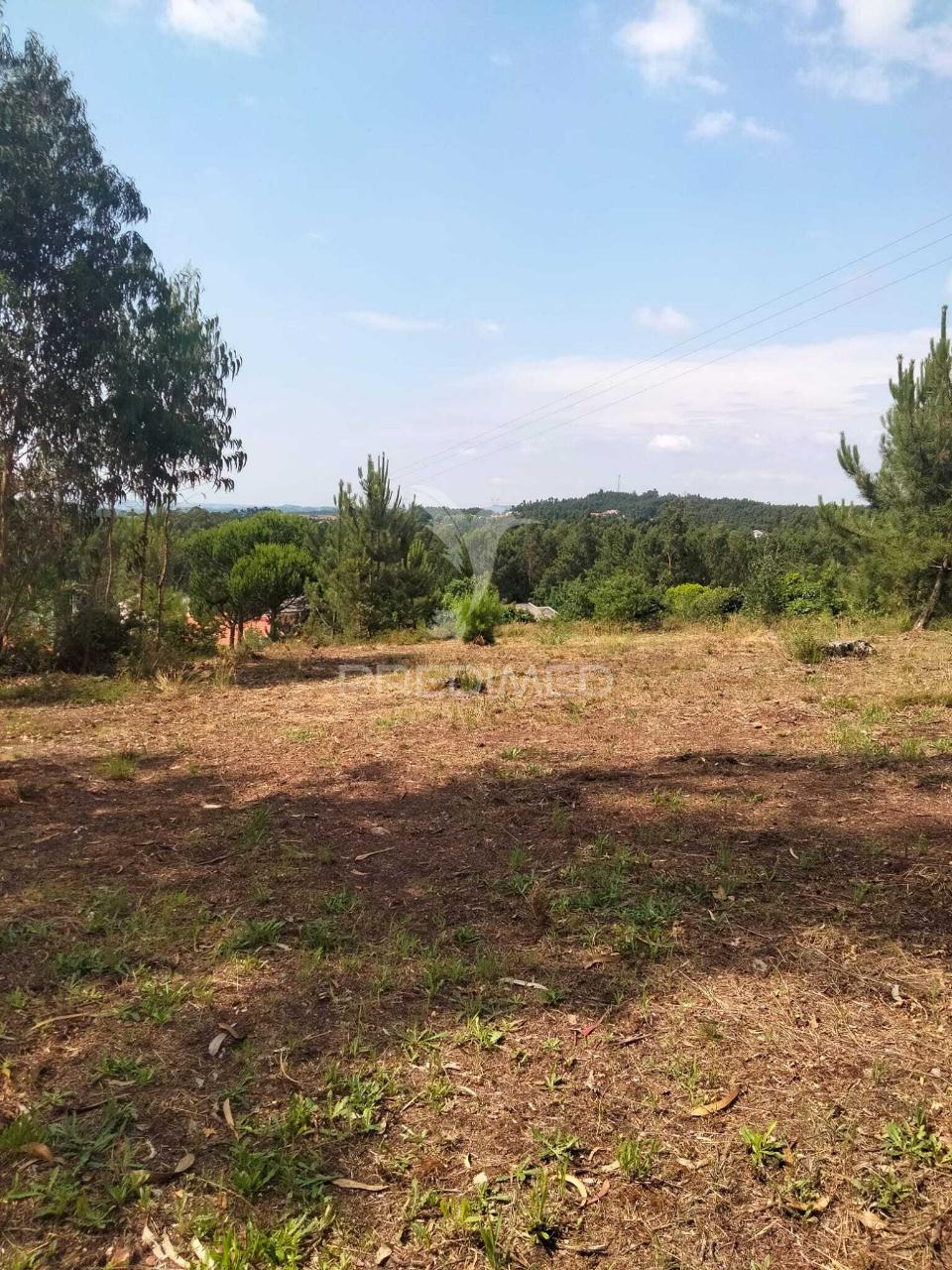Terreno para construção em canedo – santa maria da feira