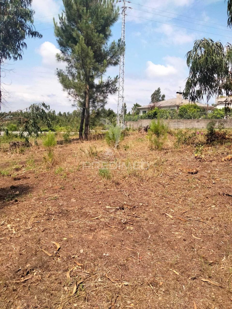 Terreno para construção em canedo – santa maria da feira