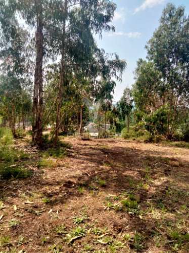 Terreno para construção em canedo – santa maria da feira