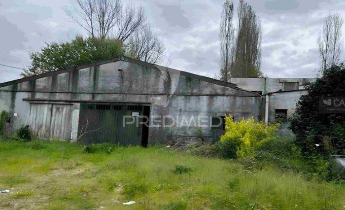 Quinta dos moinhos novos com 5,5 hectares | póvoa de lanhoso