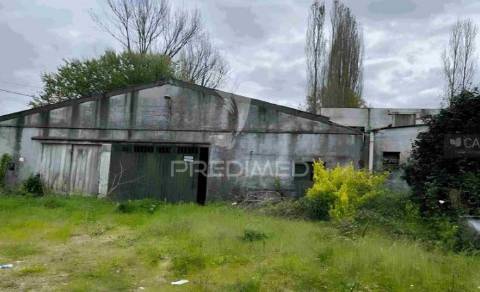 Quinta dos moinhos novos com 5,5 hectares | póvoa de lanhoso