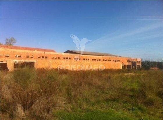 Unidade industrial de cerâmica com 28.840m² | santarém