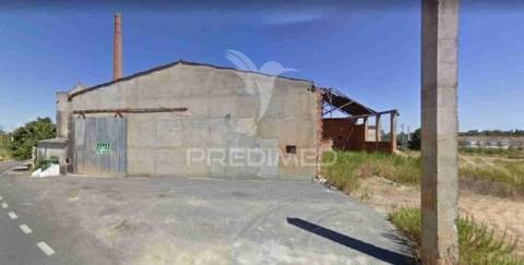 Unidade industrial de cerâmica com 28.840m² | santarém