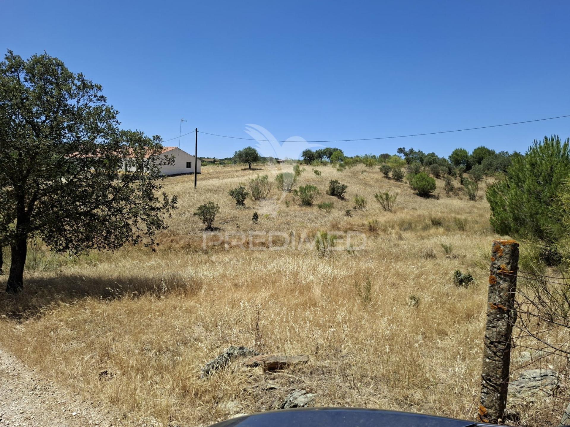 Monte alentejano no rosário – alandroal