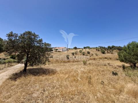 Monte alentejano no rosário – alandroal