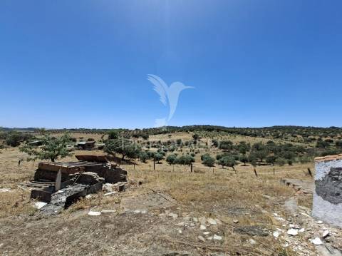 Monte alentejano no rosário – alandroal