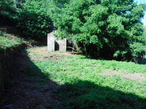 Casa com terreno para recuperar, no rio corgo, em vila real
