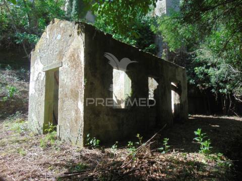 Casa com terreno para recuperar, no rio corgo, em vila real