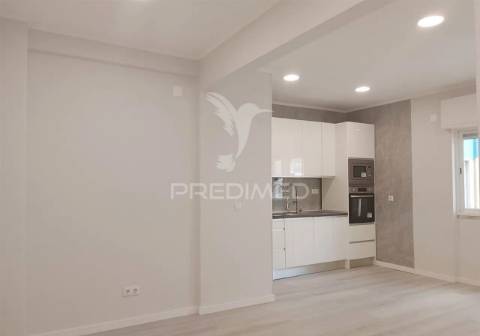 T1 venteira amadora