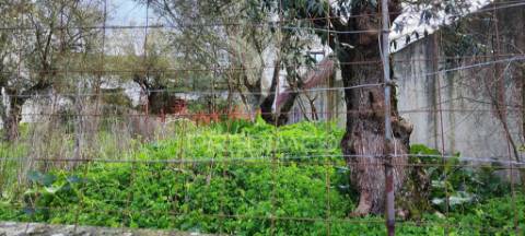 Moradia com terreno para reabilitar com grande potencial | a poucos minutos de lisboa