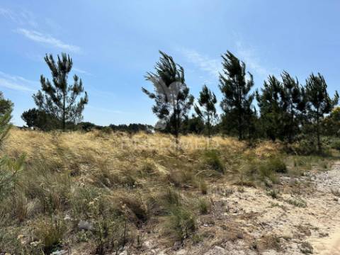 Terreno 9500m2 a 15 minutos do montijo