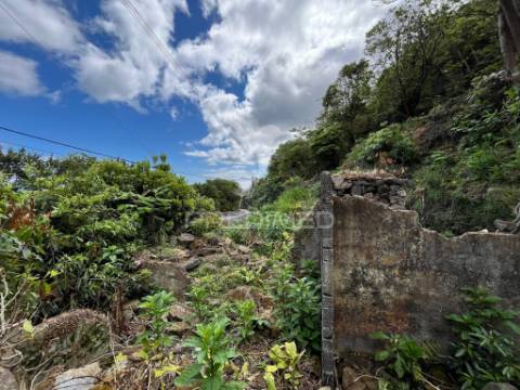 Terreno com potencial de construção e vista mar nas quatro ribeiras