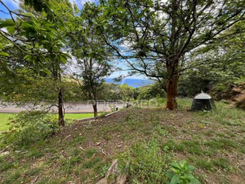 Terreno com potencial de construção e vista mar nas quatro ribeiras