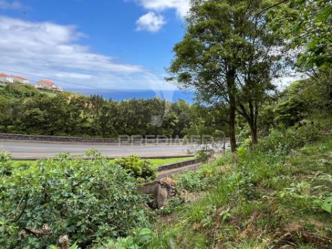 Terreno com potencial de construção e vista mar nas quatro ribeiras