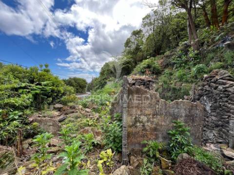 Terreno com potencial de construção e vista mar nas quatro ribeiras