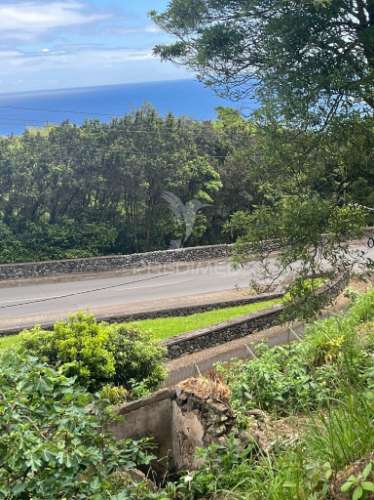 Terreno com potencial de construção e vista mar nas quatro ribeiras