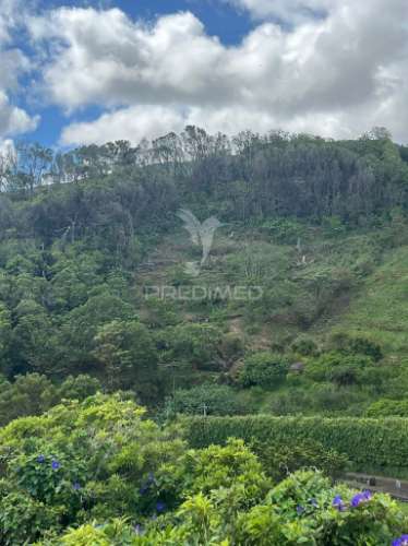 Terreno com potencial de construção e vista mar nas quatro ribeiras