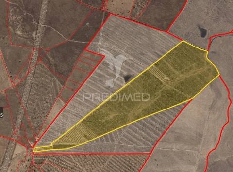 Herdade com 55,9 hectares e ruína com potencial turístico no concelho de  ourique – baixo alentejo